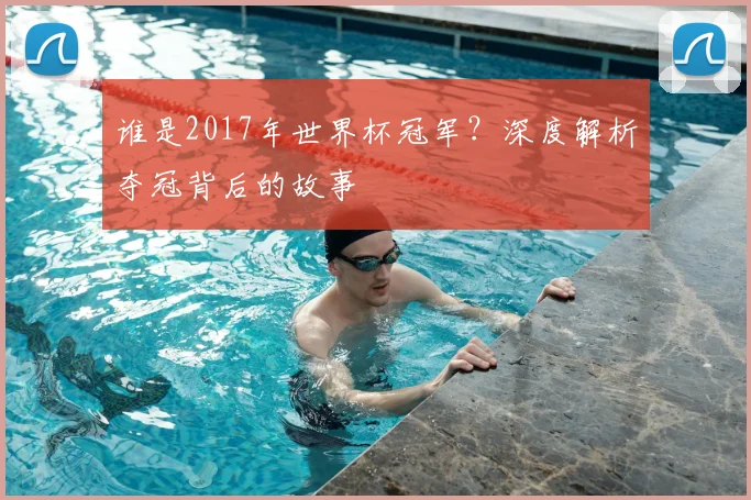 谁是2017年世界杯冠军？深度解析夺冠背后的故事