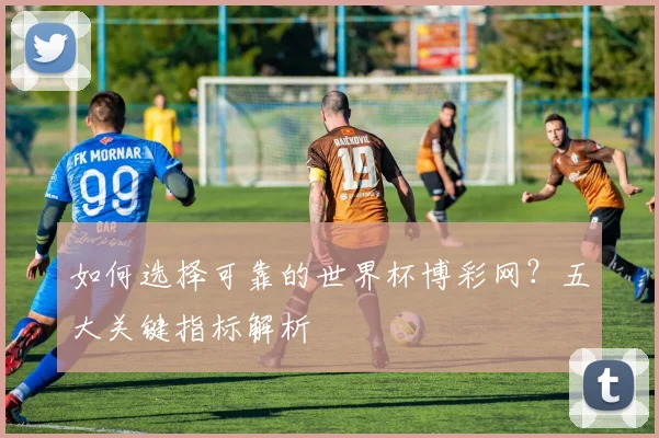 如何选择可靠的世界杯博彩网？五大关键指标解析