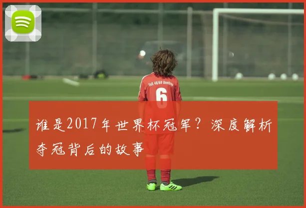谁是2017年世界杯冠军？深度解析夺冠背后的故事