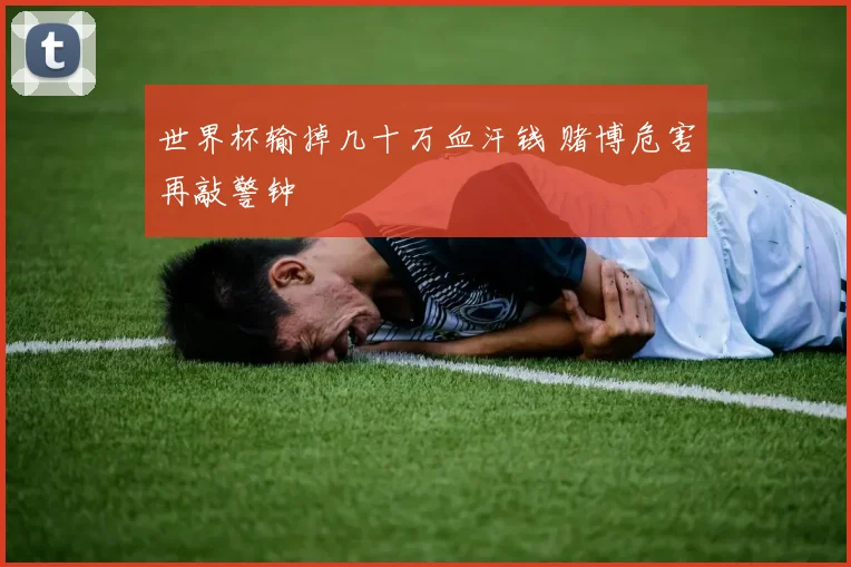 世界杯输掉几十万血汗钱 赌博危害再敲警钟