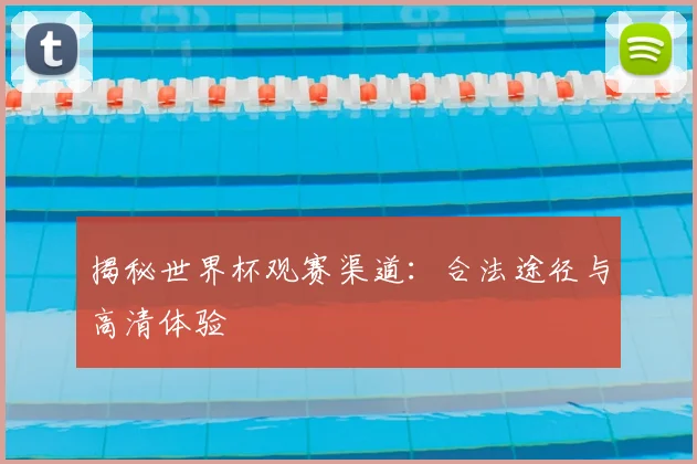 揭秘世界杯观赛渠道：合法途径与高清体验