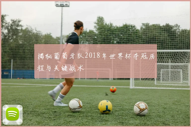 揭秘葡萄牙队2018年世界杯夺冠历程与关键战术