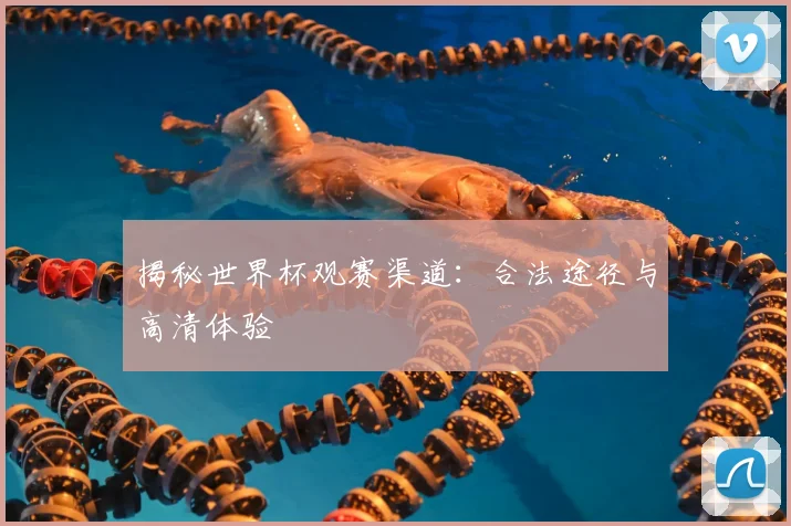 揭秘世界杯观赛渠道:合法途径与高清体验