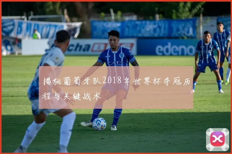揭秘葡萄牙队2018年世界杯夺冠历程与关键战术