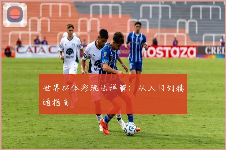 世界杯体彩玩法详解：从入门到精通指南