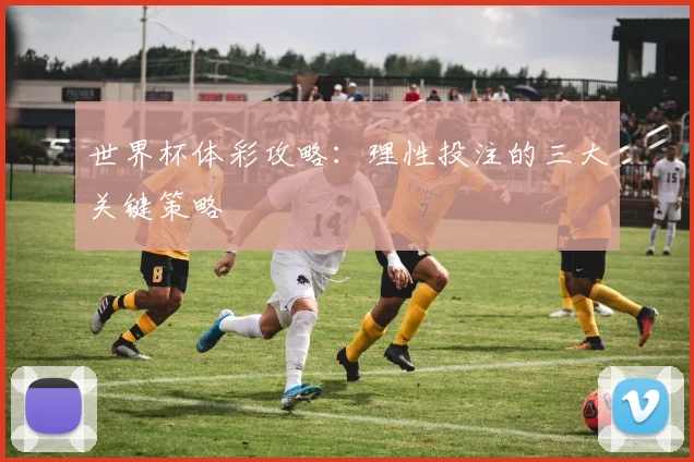 世界杯体彩攻略：理性投注的三大关键策略